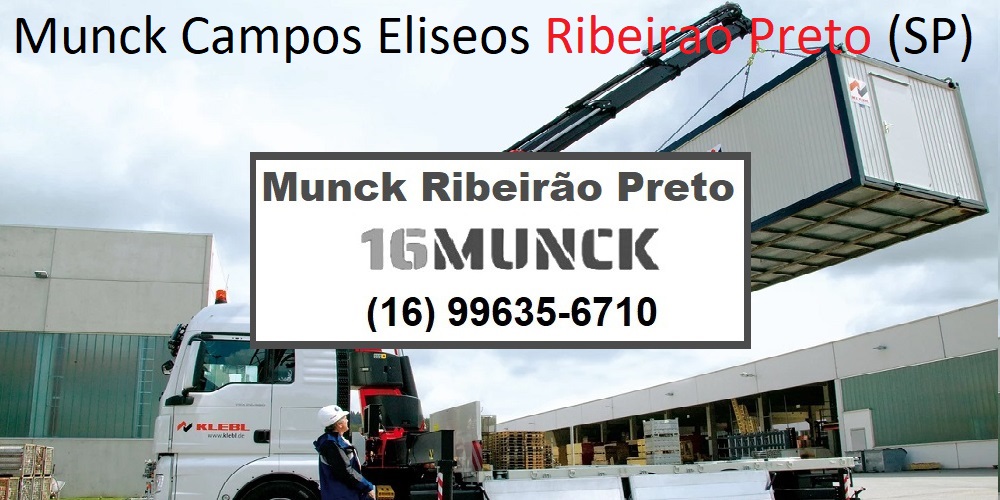 ribeirão preto caminhão munck SP ribeirão preto